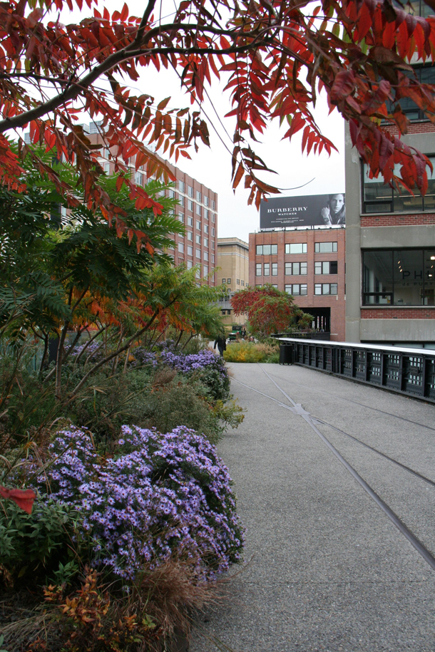 High time to see the High Line