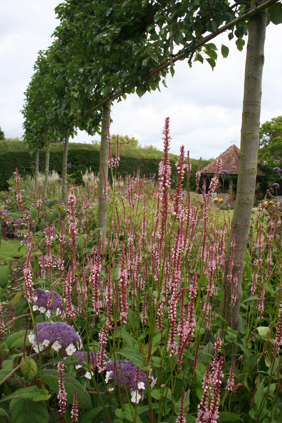 Easebourne10