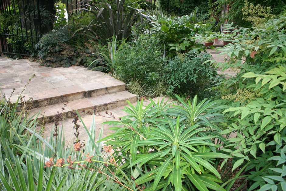 Kew4