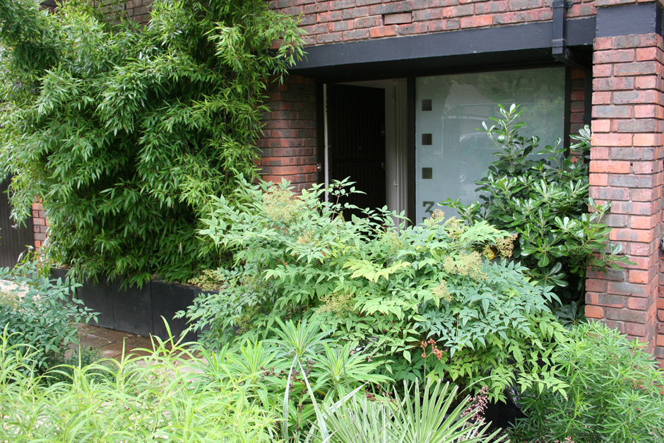 Kew5